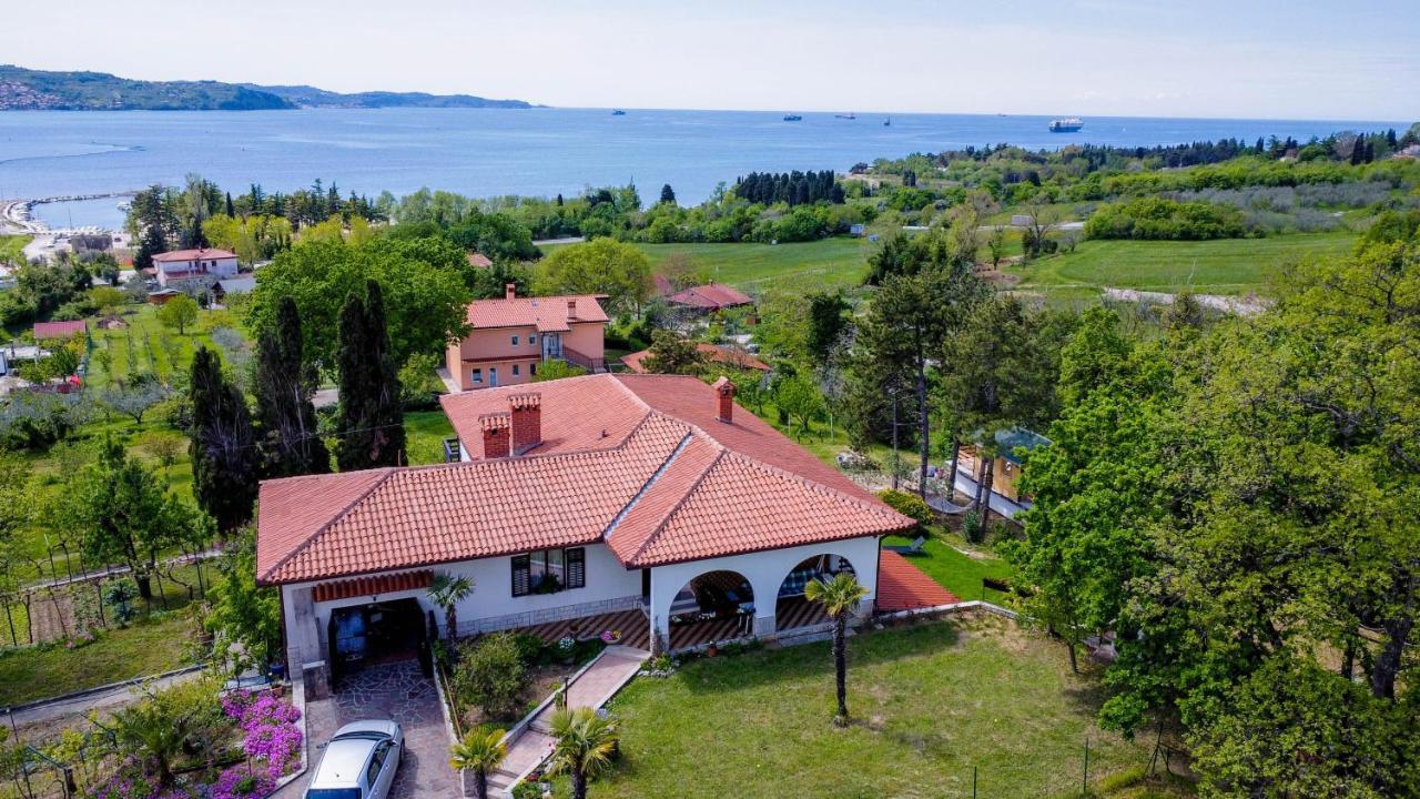 Active Chillax Oasis Apartments Ankaran Dış mekan fotoğraf