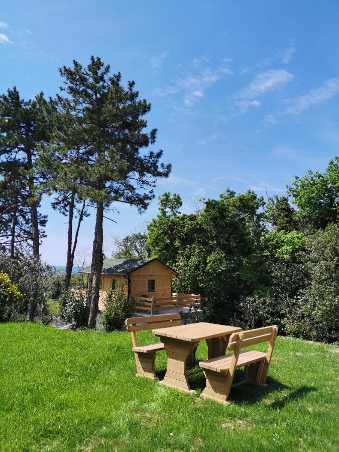 Active Chillax Oasis Apartments Ankaran Dış mekan fotoğraf