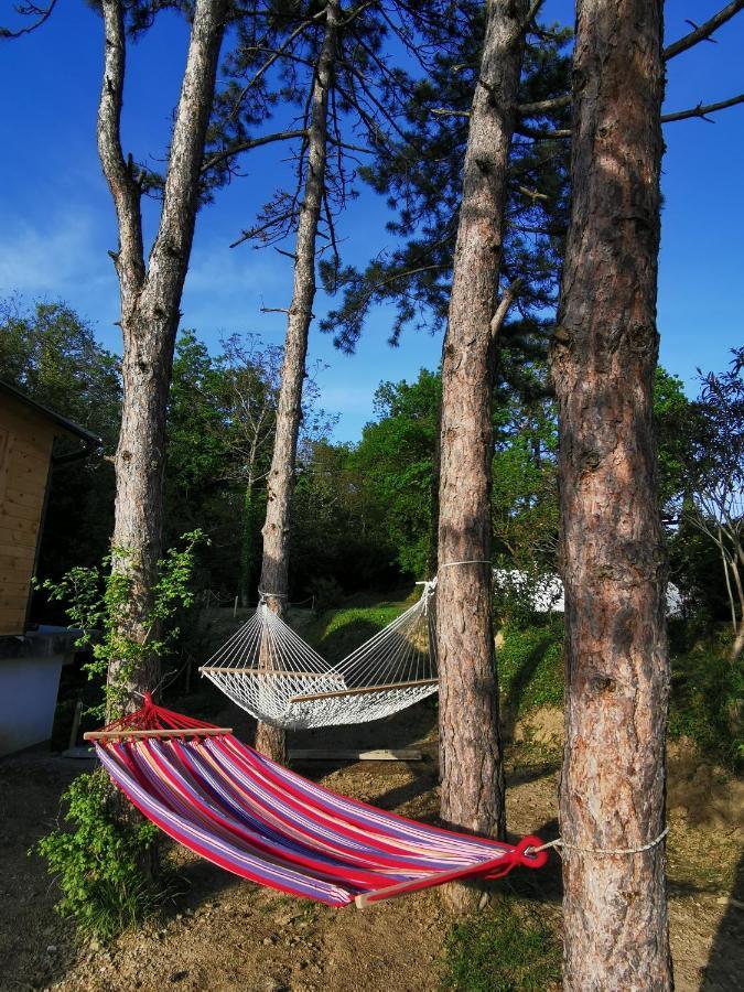Active Chillax Oasis Apartments Ankaran Dış mekan fotoğraf