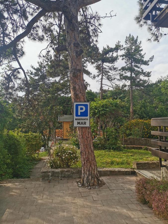 Active Chillax Oasis Apartments Ankaran Dış mekan fotoğraf